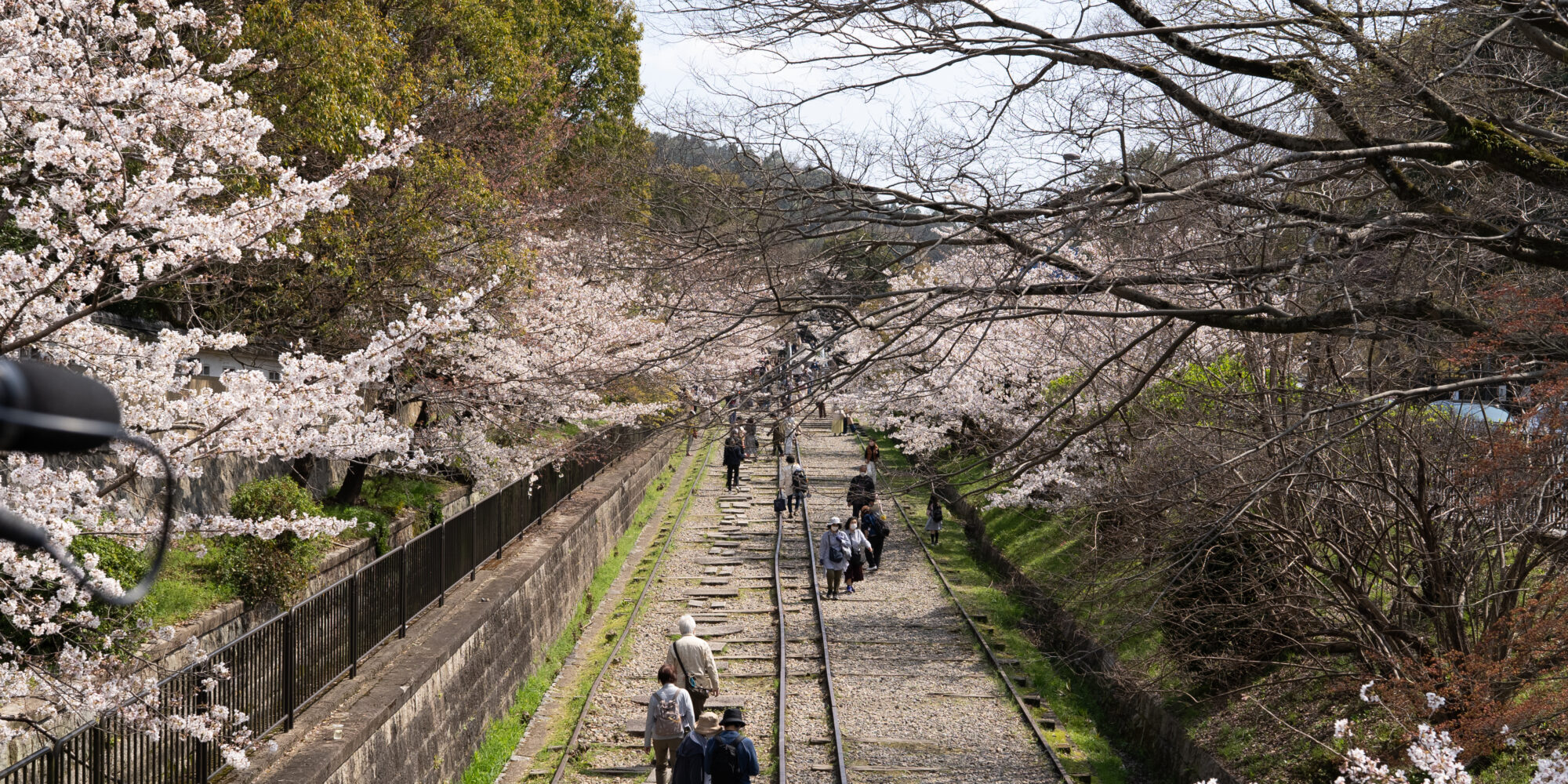 蹴上インクラインの桜と観光客 2021年3月撮影